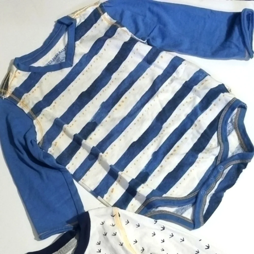 Burt's Bees Baby 18 Months Onesie Pair